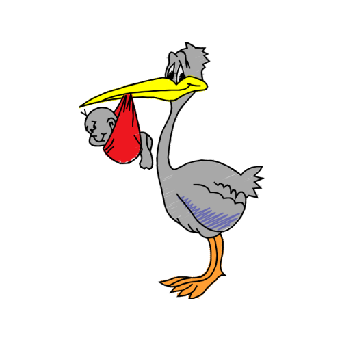 Illustration Animals Illustration Animals