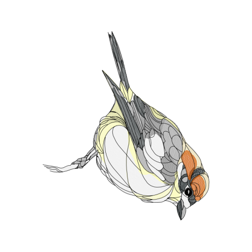 Illustration Animals Illustration Animals