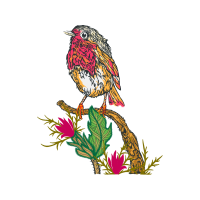 Illustration Animals