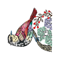 Illustration Animals