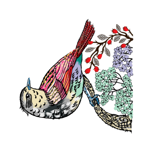 Illustration Animals Illustration Animals