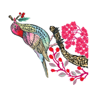 Illustration Animals