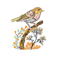 Illustration Animals