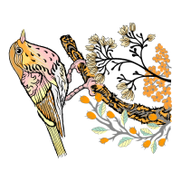 Illustration Animals