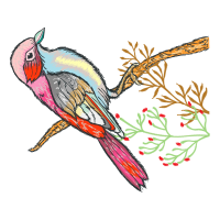 Illustration Animals