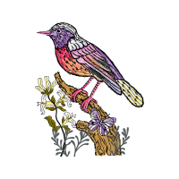 Illustration Animals