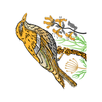 Illustration Animals