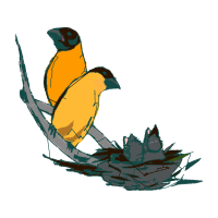 Illustration Animals