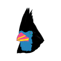 Illustration Animals Illustration Animals