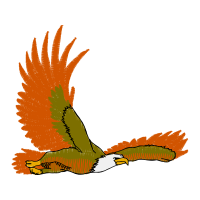 Illustration Animals Illustration Animals