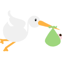 Illustration Animals