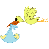 Illustration Animals Illustration Animals