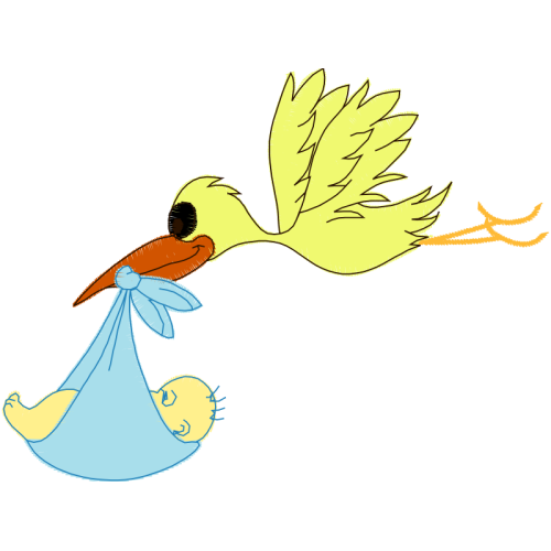 Illustration Animals Illustration Animals