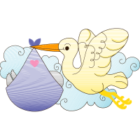 Illustration Animals