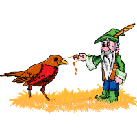 Illustration Animals