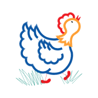 Illustration Animals