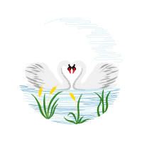 Illustration Animals