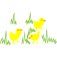 Illustration Animals Illustration Animals