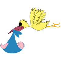 Illustration Animals Illustration Animals