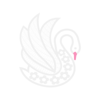 Illustration Animals Illustration Animals