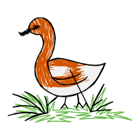 Illustration Animals