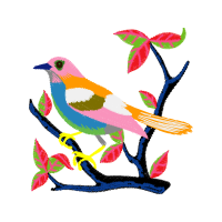 Illustration Animals Illustration Animals