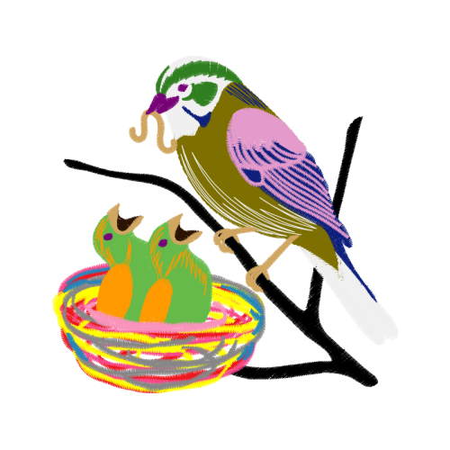 Illustration Animals Illustration Animals