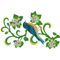 Illustration Animals