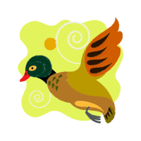 Illustration Animals