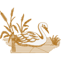 Illustration Animals