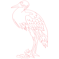 Illustration Animals