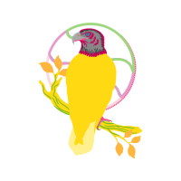 Illustration Animals Illustration Animals