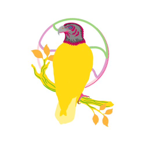 Illustration Animals Illustration Animals