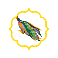 Illustration Animals