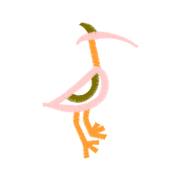 Illustration Animals