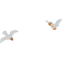 Illustration Animals