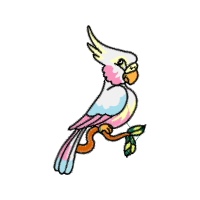 Illustration Animals