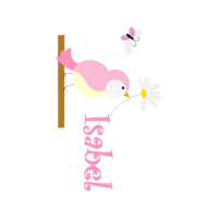 Illustration Animals