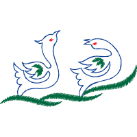 Illustration Animals Illustration Animals