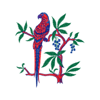 Illustration Animals Illustration Animals