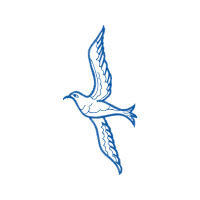 Illustration Animals Illustration Animals