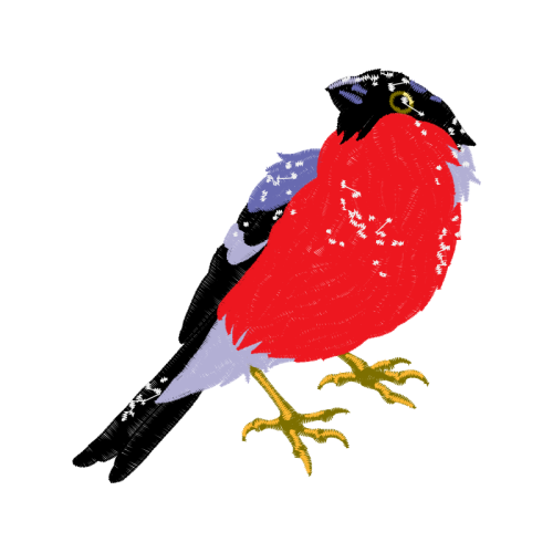 Illustration Animals Illustration Animals