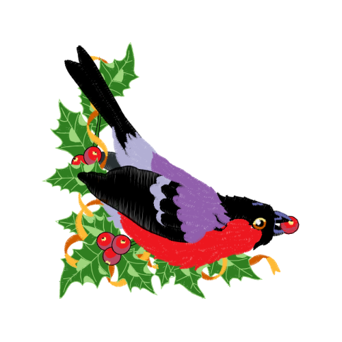 Illustration Animals Illustration Animals