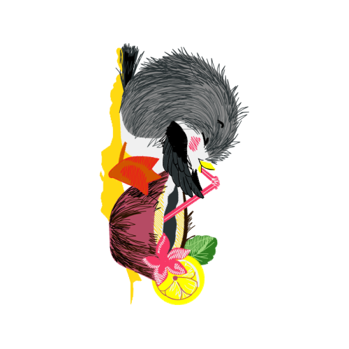 Illustration Animals Illustration Animals