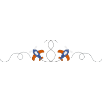 Illustration Animals Illustration Animals