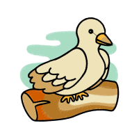 Illustration Animals Illustration Animals