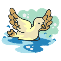 Illustration Animals Illustration Animals