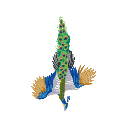 Illustration Animals Illustration Animals