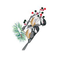 Illustration Animals Illustration Animals