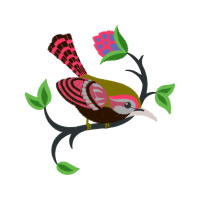 Illustration Animals Illustration Animals